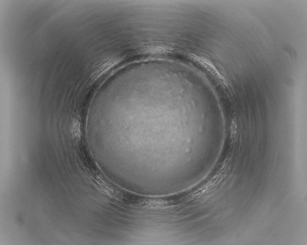 X0000116041209200911201337