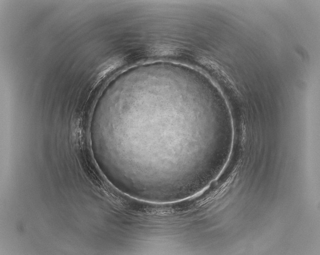 X0000116041210200911201338