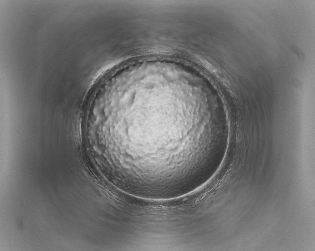 X0000116041214200911201338