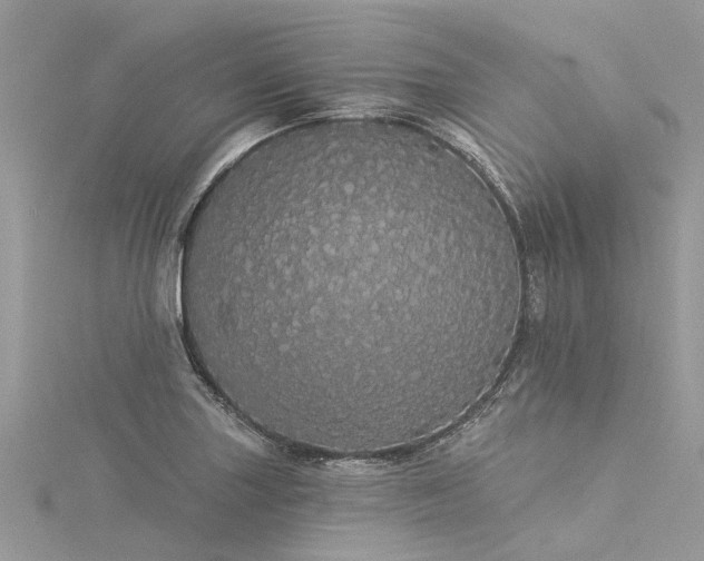 X0000116041227200911201338