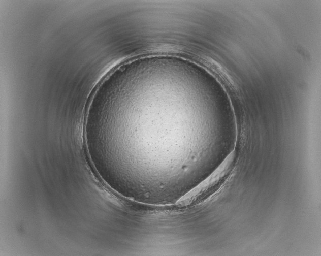 X0000116041228200911201338