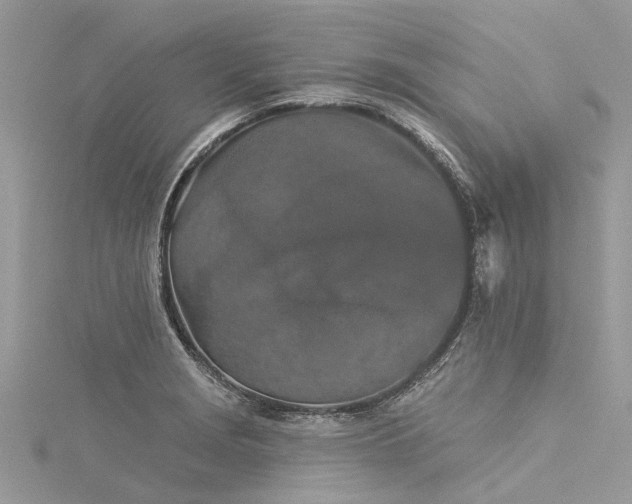 X0000116041229200911201338