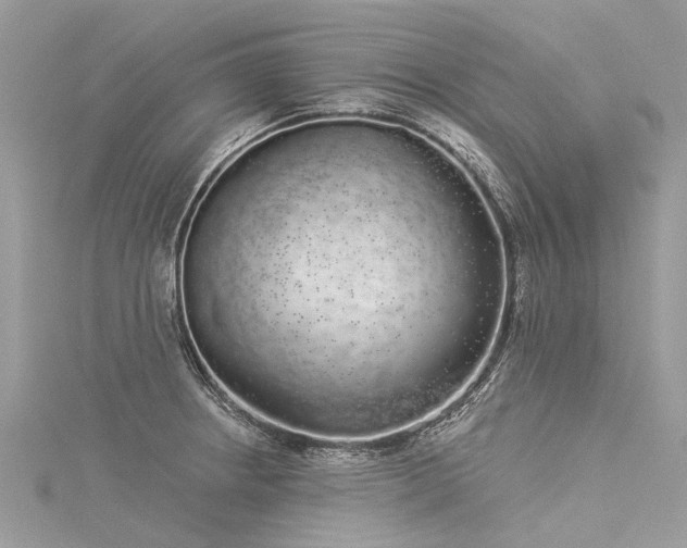 X0000116041234200911201338