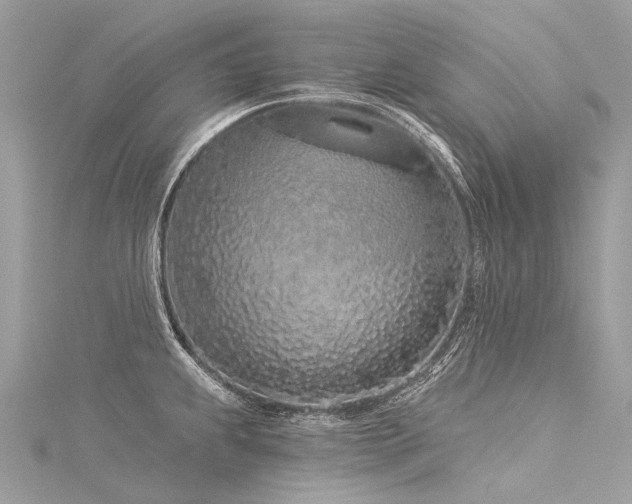 X0000116041239200911201338