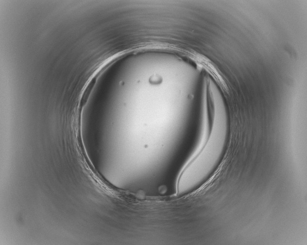 X0000116041244200911201338