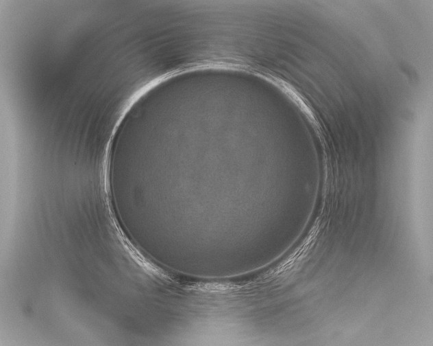 X0000116041246200911201338