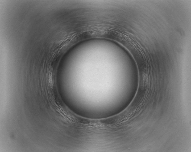 X0000116041250200911201337