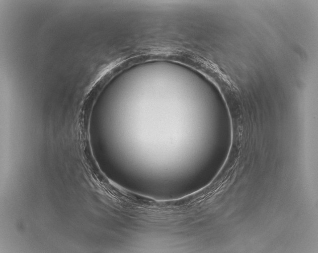 X0000116041256200911201337