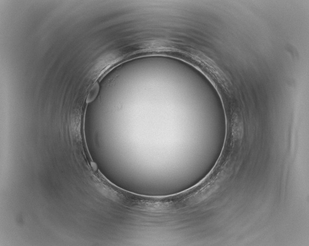 X0000116041273200911201337