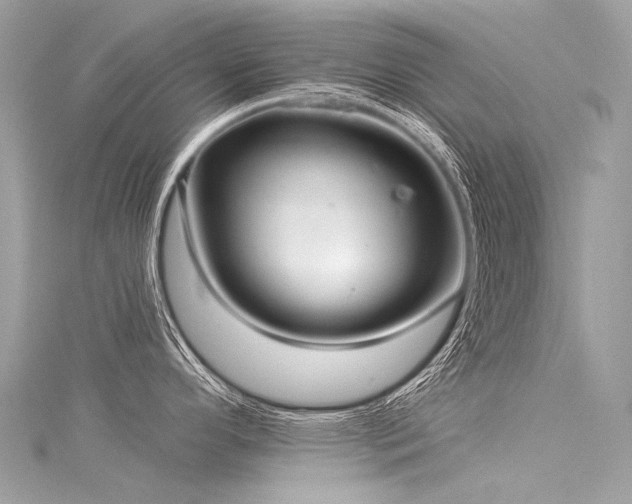X0000116041296200911201337