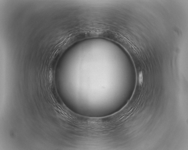X0000116041299200911201336