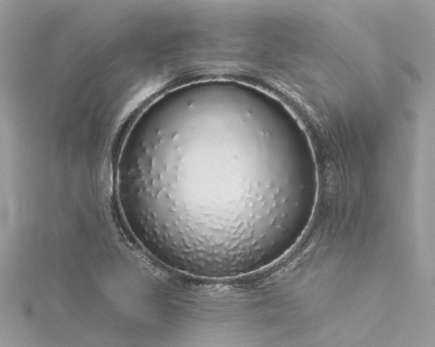 X0000116041317200911201336