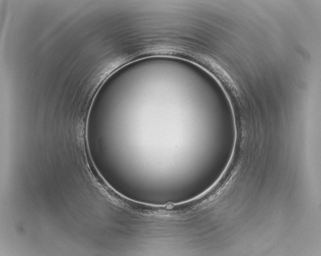 X0000116041329200911201336