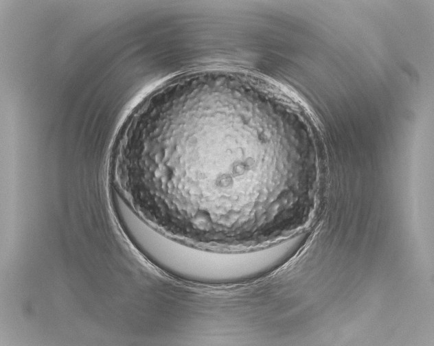 X0000116041333200911201336