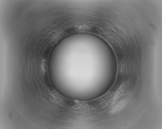 X0000116041346200911201336