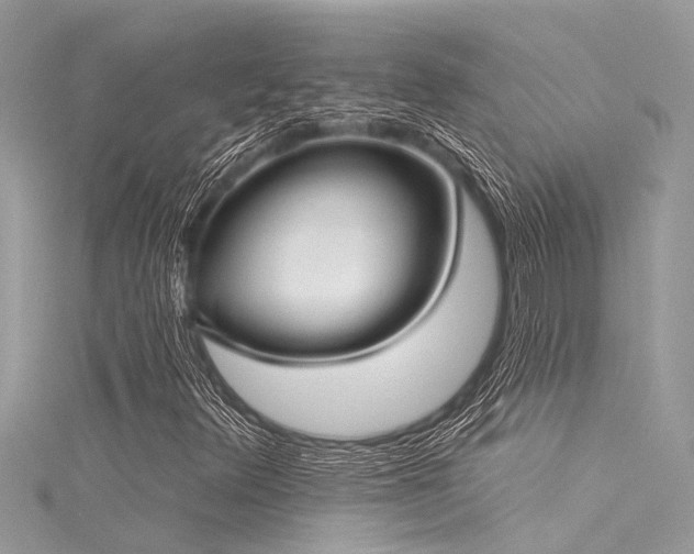X0000116041348200911201336