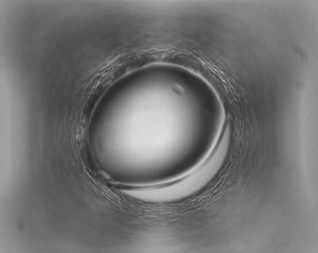 X0000116041349200911201336