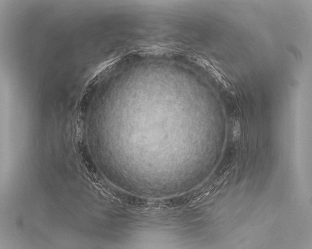 X0000116041350200911201336