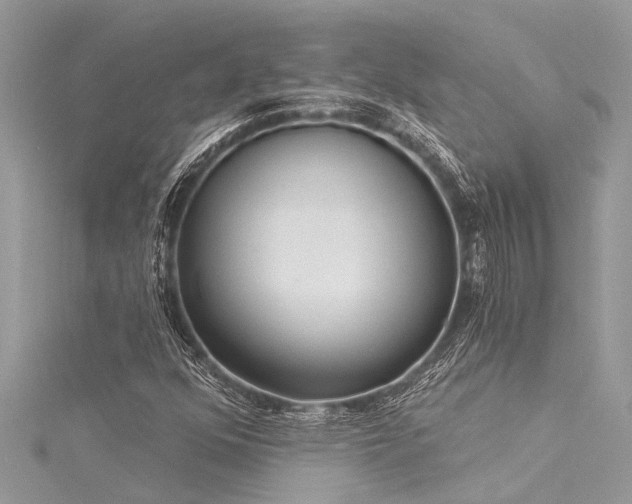X0000116041352200911201336