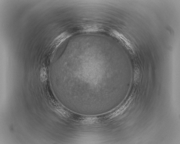 X0000116041353200911201336