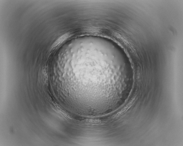 X0000116041354200911201336