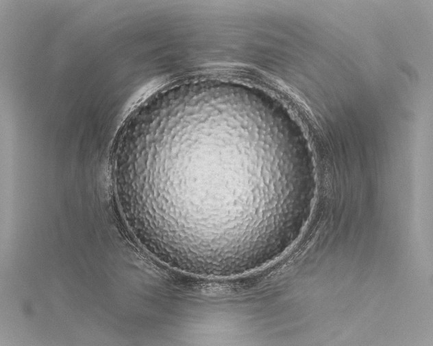 X0000116041362200911201336