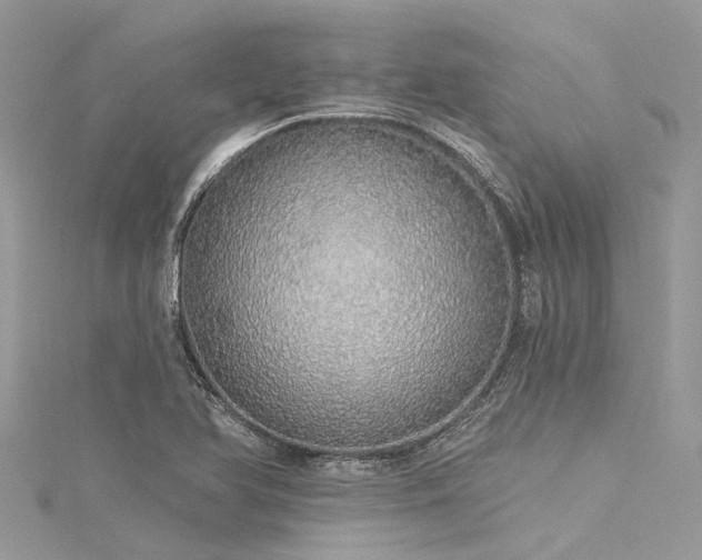 X0000116041366200911201336