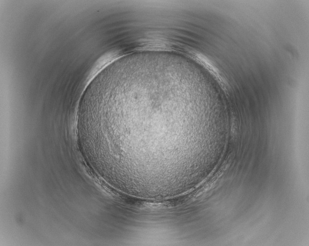 X0000116041378200911201336