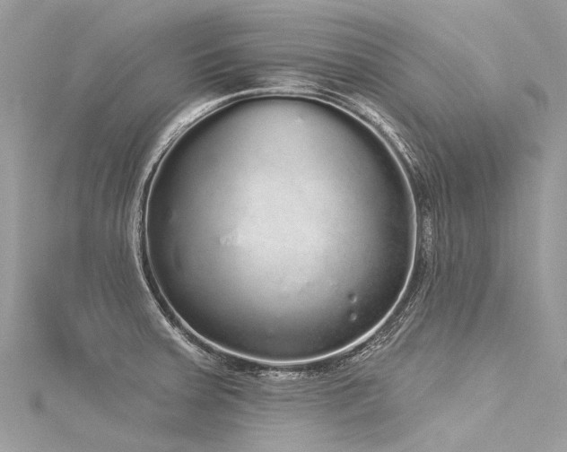 X0000116041379200911201336