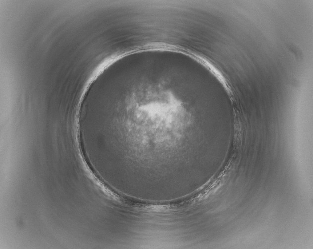 X0000116041381200911201336