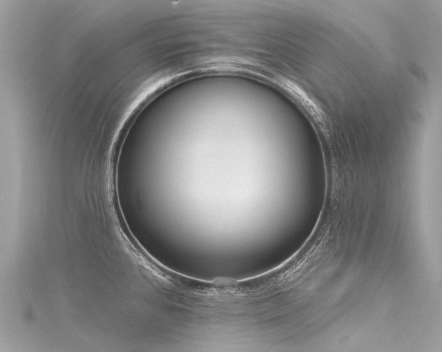 X0000116041384200911201335