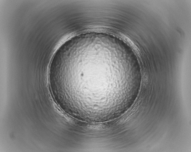 X0000116041386200911201335