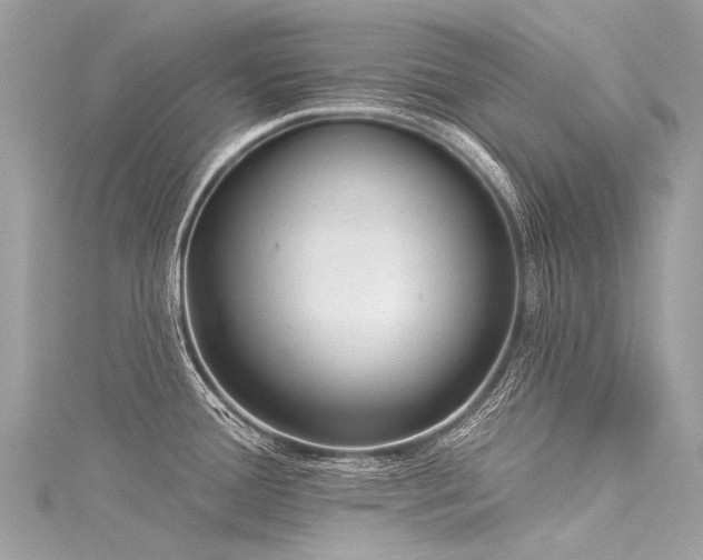 X0000116041388200911201335