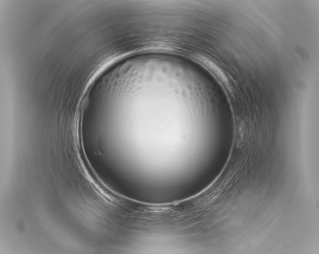 X0000116041391200911201335