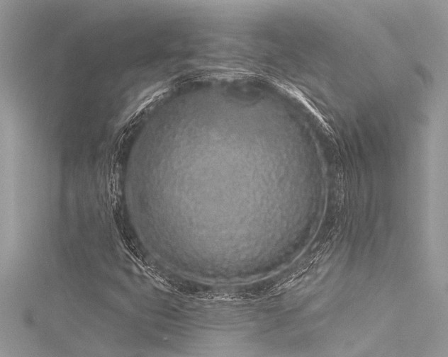 X0000116041399200911201335