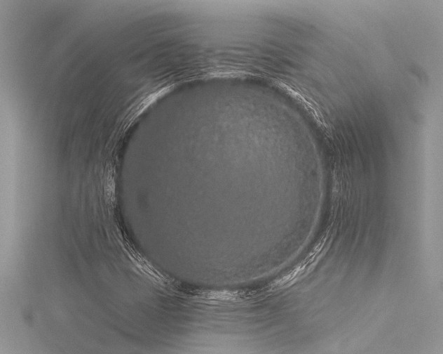 X0000116041401200911201335