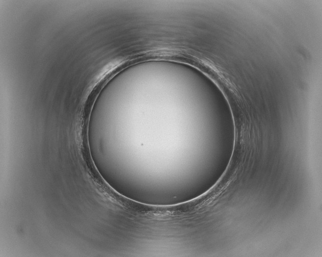 X0000116041410200911201335