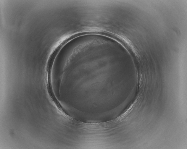 X0000116041414200911201335