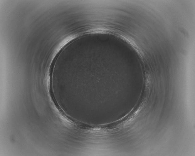 X0000116041418200911201335