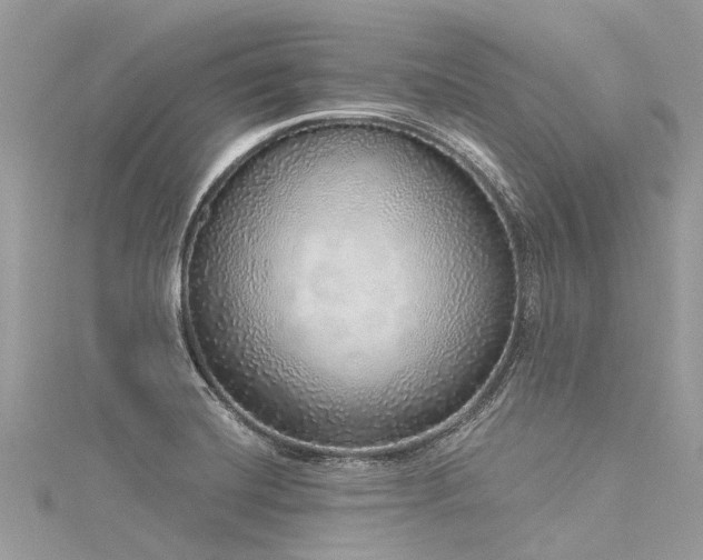 X0000116041420200911201335