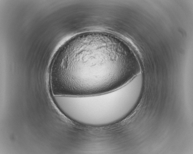 X0000116041424200911201335