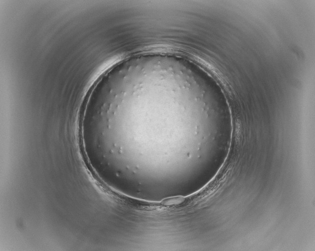 X0000116041426200911201335