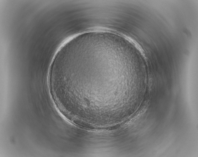 X0000116041429200911201335