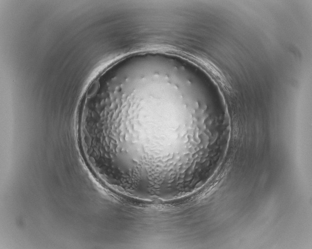 X0000116041430200911201335