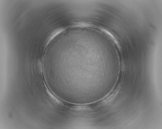 X0000116041433200911201335