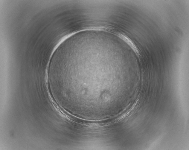 X0000116041436200911201335