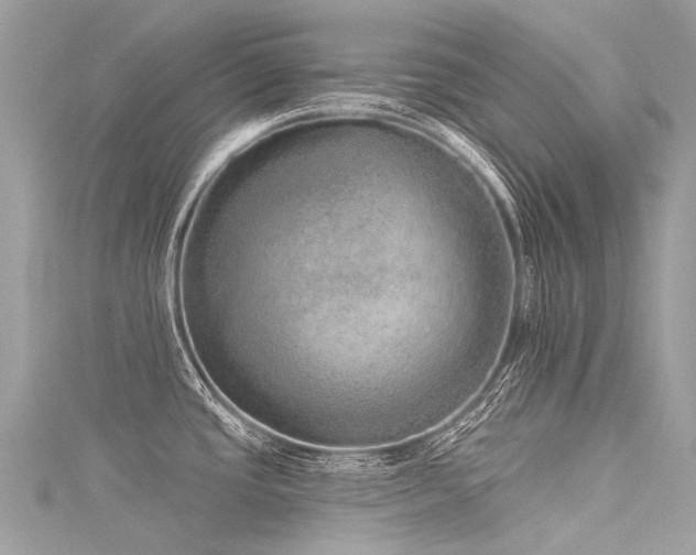 X0000116041437200911201335