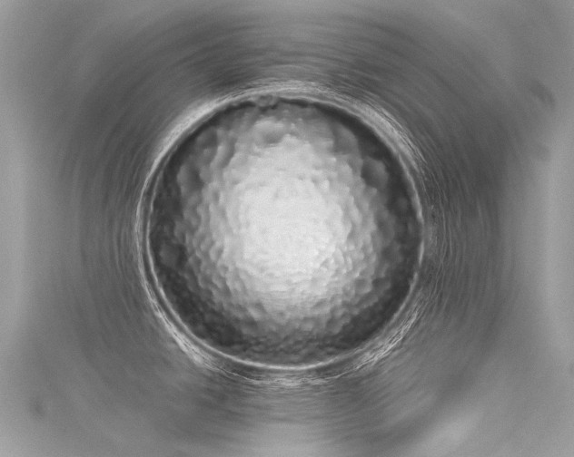 X0000116041438200911201335
