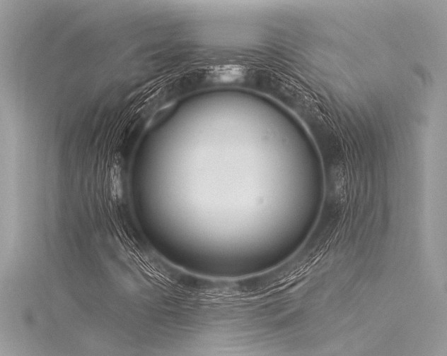 X0000116041442200911201335