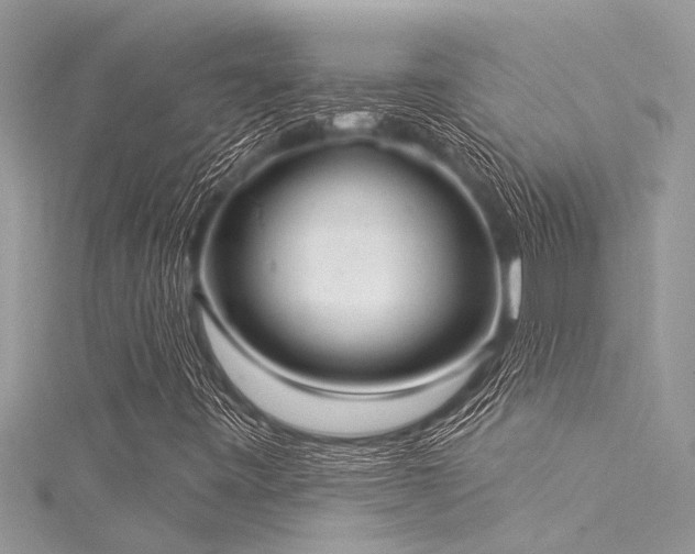 X0000116041443200911201335